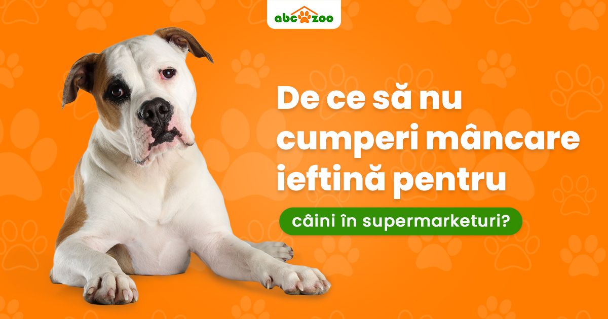 De ce să nu cumperi mâncare ieftină pentru câini în supermarketuri?